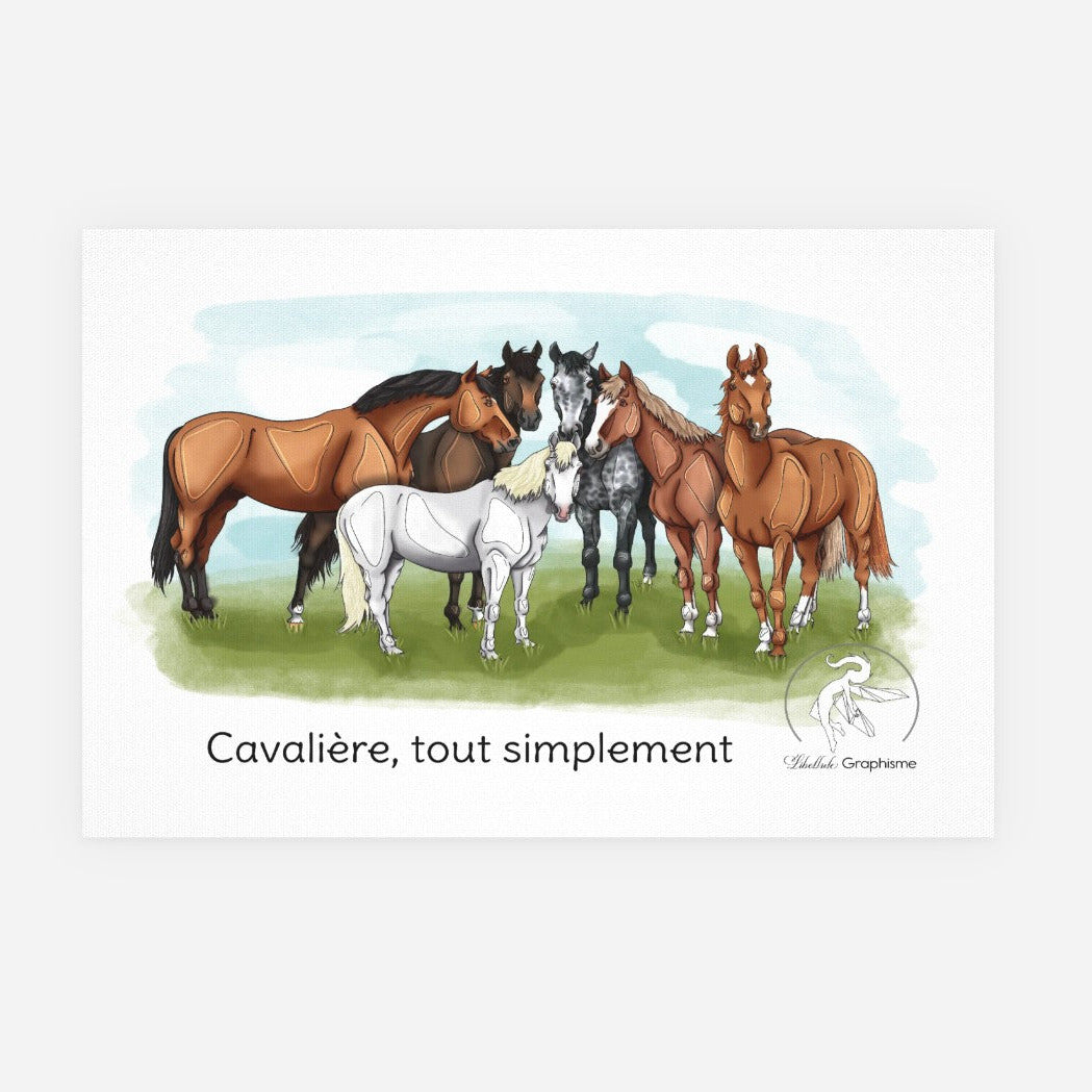 Toile murale illustrée avec plusieurs chevaux et la citation “Cavalière, tout simplement”, idéale pour une décoration intérieure équestre chaleureuse et élégante