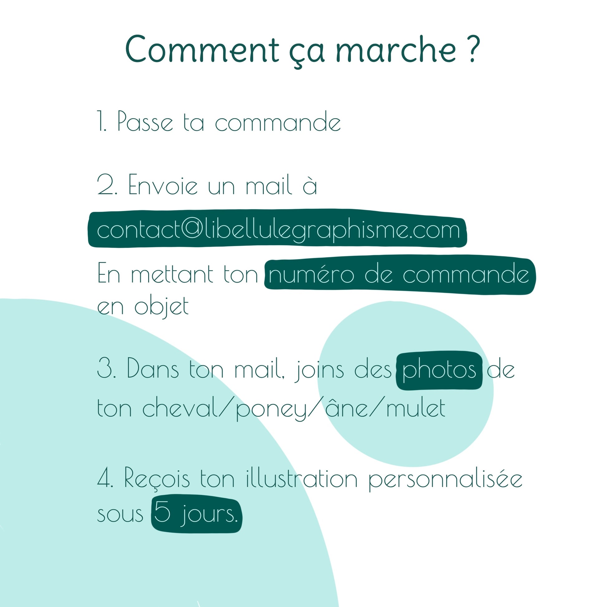 Fiche explicative présentant les étapes pour commander une illustration semi personnalisée : choix des options, envoi des photos par mail avec le numéro de commande, puis réception du portrait personnalisé sous 5 jours.