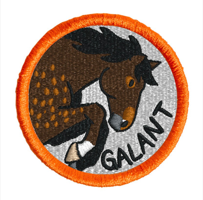 Patch brodé personnalisé