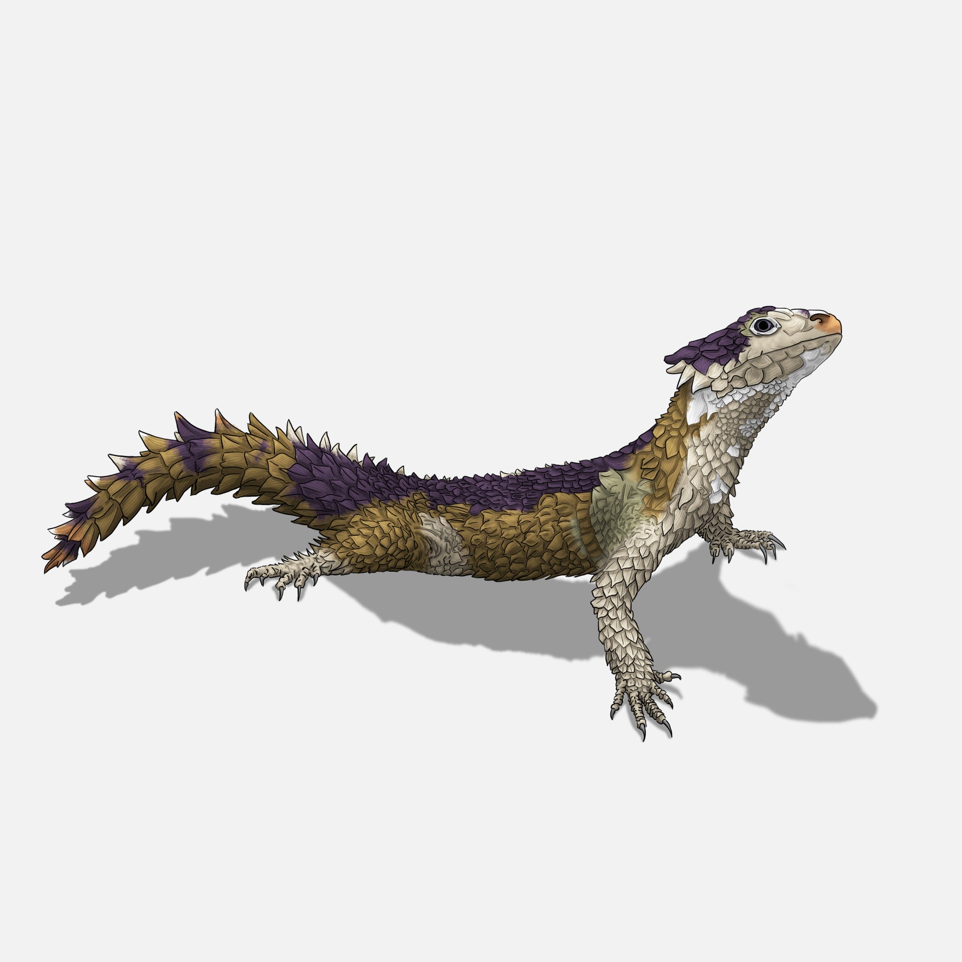 Dessin très réaliste d’un Ouroboros cataphractus, un lézard rare pouvant être maintenu comme animal de compagnie. Cette illustration montre que Libellule Graphisme réalise aussi des portraits personnalisés d’animaux atypiques, au même titre que chiens, chats ou équidés.