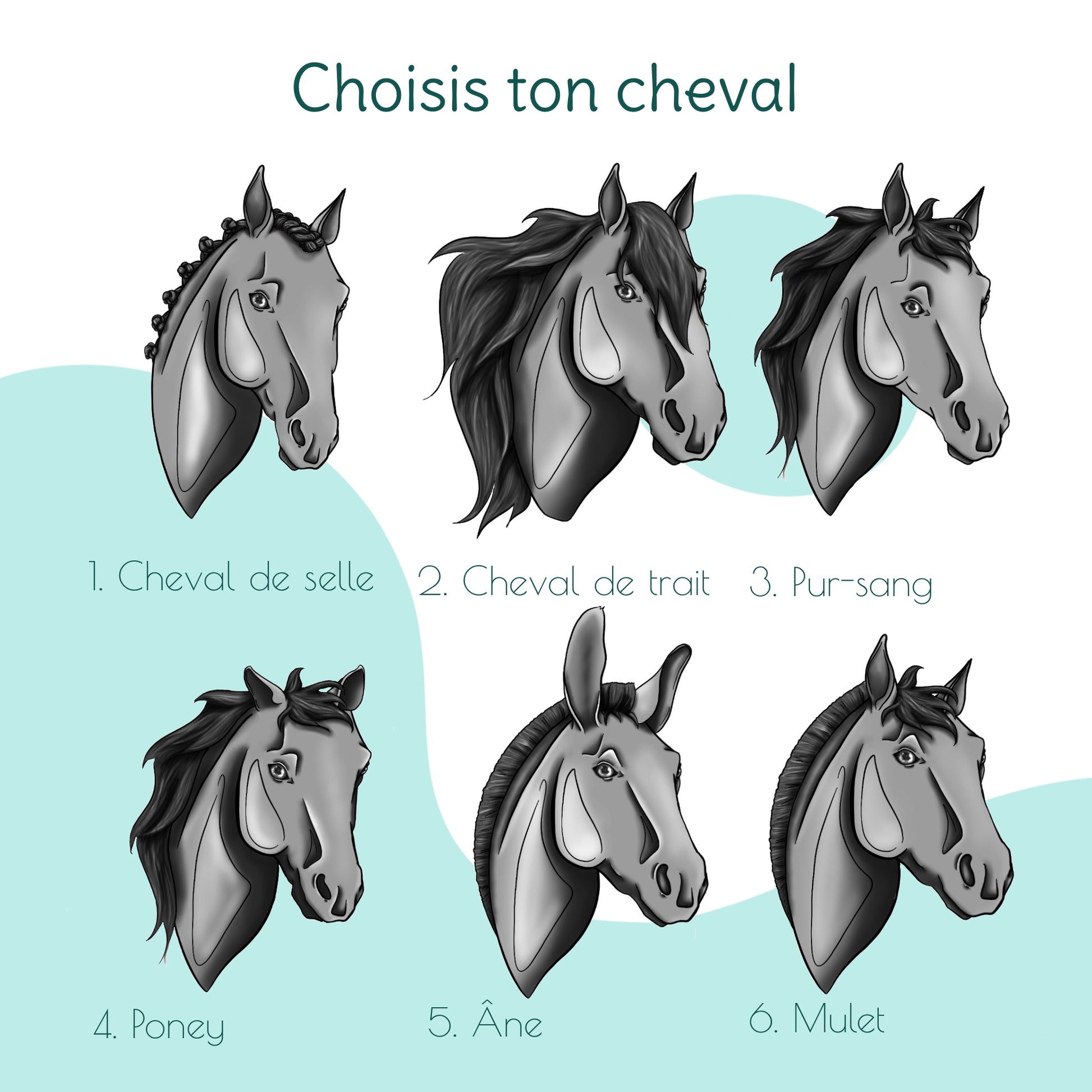 Fiche présentant les différentes morphologies d’équidés proposées pour les portraits personnalisés : cheval de selle, pur-sang arabe, poney, cheval de trait, âne et mulet.