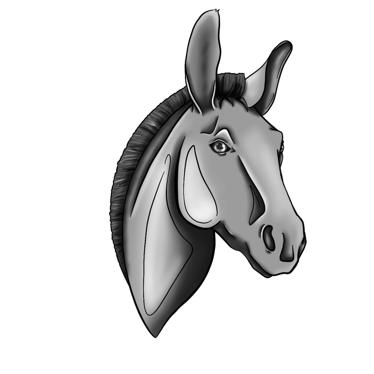 Illustration semi personnalisée d’un âne reconnaissable à ses longues oreilles et à son expression douce. Exemple de portrait d’équidé personnalisé, réalisé à partir de photos fournies par le client.