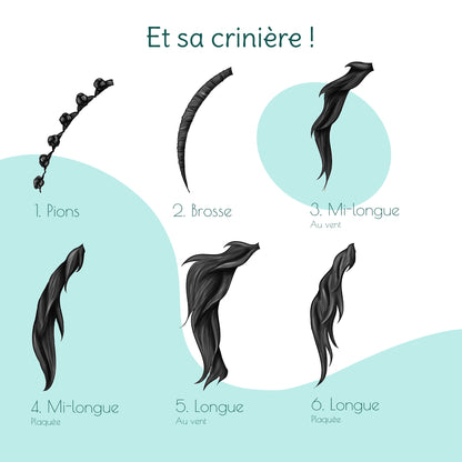 Illustration présentant tous les styles de crinières disponibles pour les portraits personnalisés : courte, longue, au vent, plaquée, en brosse ou tressée avec des pions.
