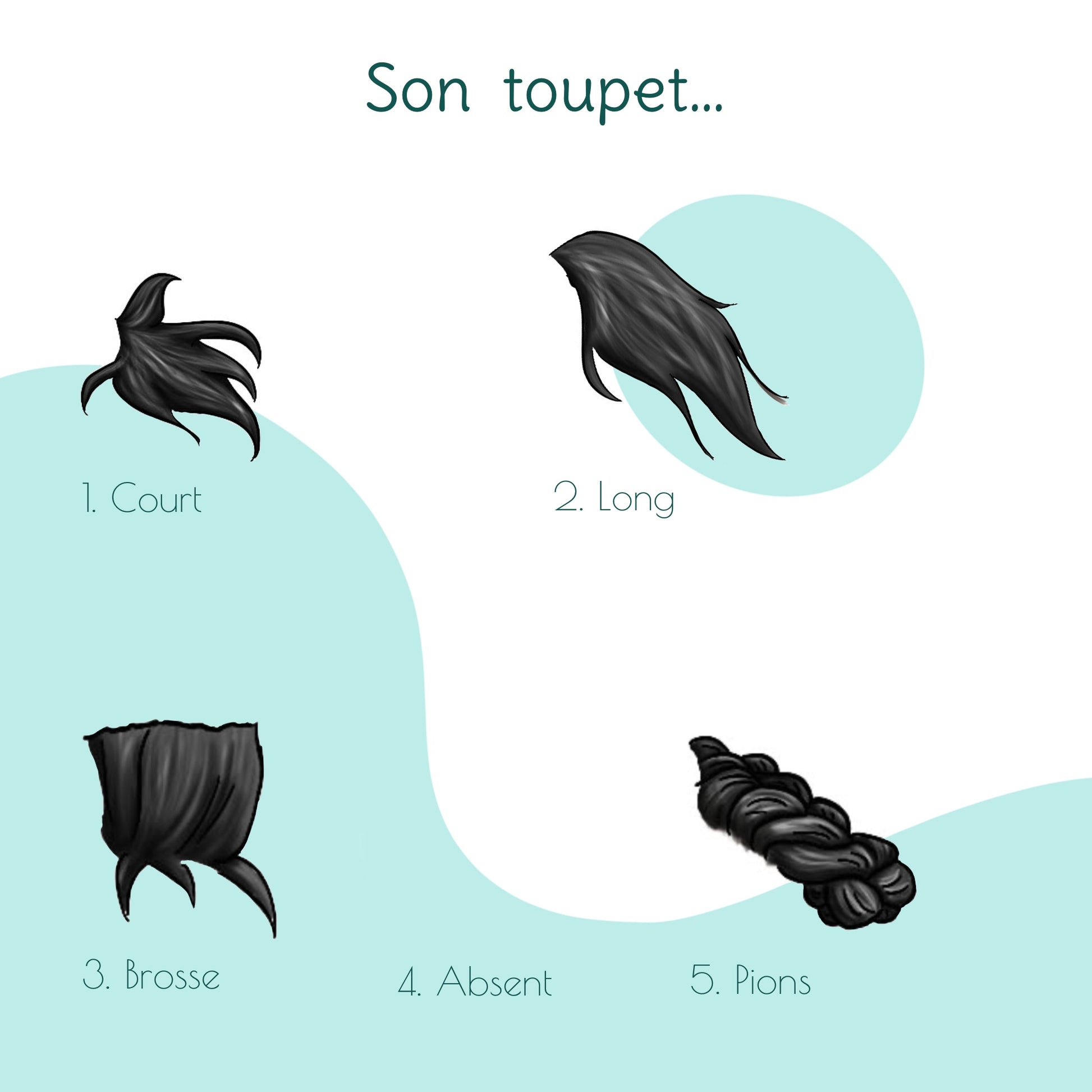 Fiche illustrée montrant les différents types de toupets disponibles pour les portraits d’équidés personnalisés : court, long, absent, en brosse ou avec des pions tressés.
